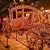 Carriage
