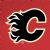 Calgary Flames players
