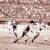 December 1984 sports events in Asia