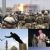 Iraq War