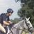 Olympic medalists in equestrian