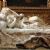 Marble sculptures in Italy