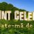 2015 Romanian television series debuts