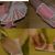 Card manipulation