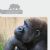 Animal ethics books