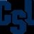 Charleston Southern Buccaneers men's basketball seasons