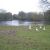 Tudor Grange Park