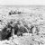 Siege of Tobruk