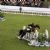 Italian female equestrians