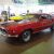 Pony cars