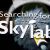 Searching for Skylab