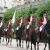 Equestrianism