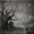 Arcane Rain Fell