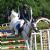 Olympic equestrians for Brazil