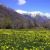 Cerdanya