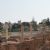 Muslim conquest of Egypt