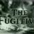 The Fugitive (TV series)