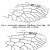 Taxa described in 2011