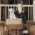 Patricia Betaudier