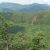 Western European broadleaf forests