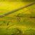 Grasslands of Nepal