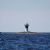 Maritime signalling
