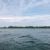 Lake Michigan Islands