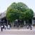 Local government in Japan