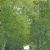 Halifax Township, Dauphin County, Pennsylvania
