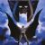 Animated Batman films