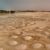 Environment of Qatar
