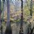 National Wildlife Refuges of the United States