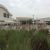 Scientific organisations based in Qatar