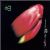 4AD singles
