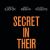 Secret in Their Eyes