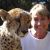 Jan Leeming