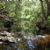 Ithaca Creek
