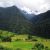 Forests of Nepal