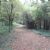Nature reserves in the London Borough of Redbridge
