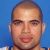 Bison Dele