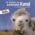 Language: Mongolian
