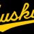 Michigan Tech Huskies men's basketball seasons