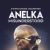 Anelka: Misunderstood