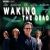 Waking the Dead (TV series)