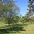 Buhr Park