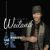 The Most Wonderful Time of the Year (Scott Weiland album)