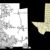 Frisco, Texas