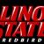 Illinois State Redbirds men's basketball seasons