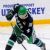 Huntsville Havoc players