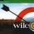 Wilco songs